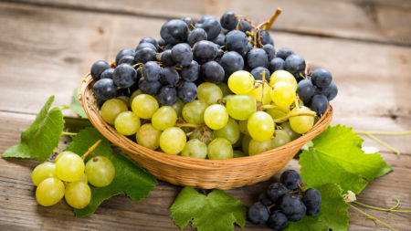 Какой виноград сажать в Подмосковье