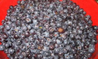 Как приготовить желе из винограда: рецепты из черного и других сортов винограда