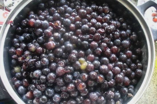 Как приготовить желе из винограда: рецепты из черного и других сортов винограда