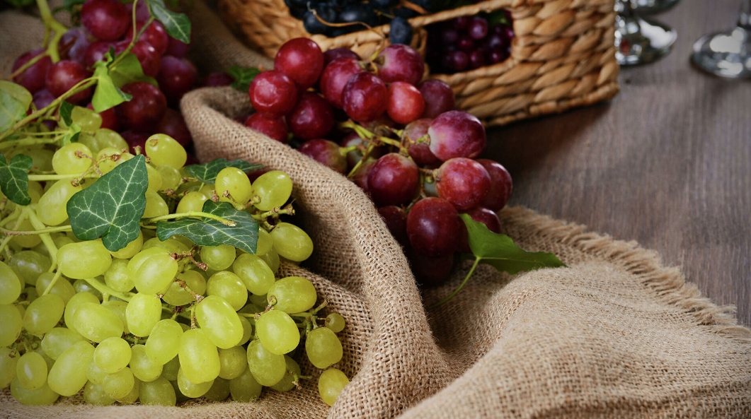 Аристократ - Саженцы и черенки винограда с доставкой купить