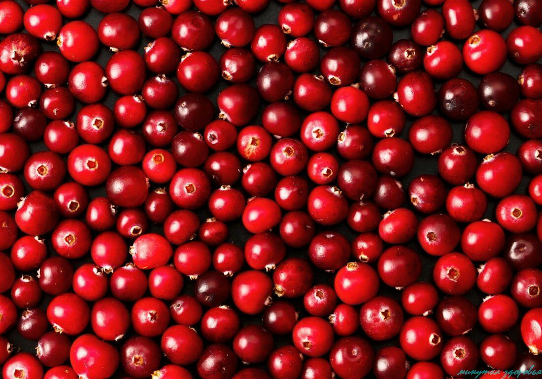 twfmpnohguasv2jx2fclvi8qtik-1920