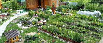 edf835ca13fd9495a9cbf3900ee1a37c