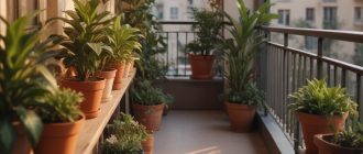 Отделка балкона в жилом помещении